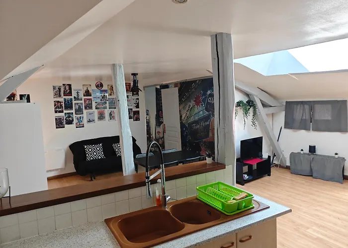 Cine Loft 55 M2 Centre Ville