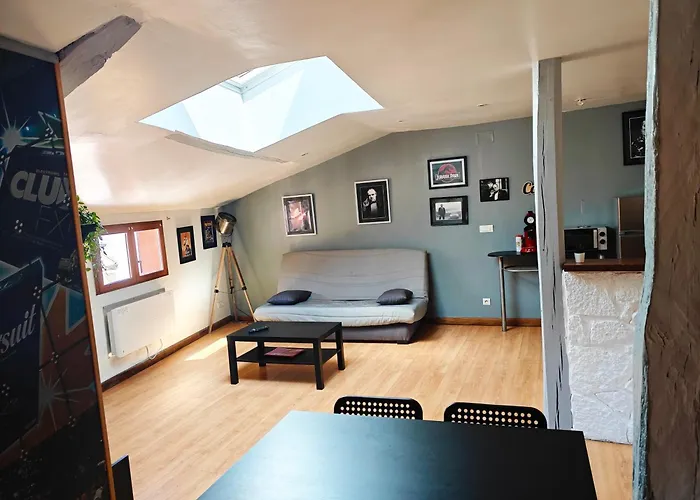 Cine Loft 55 M2 Centre Ville