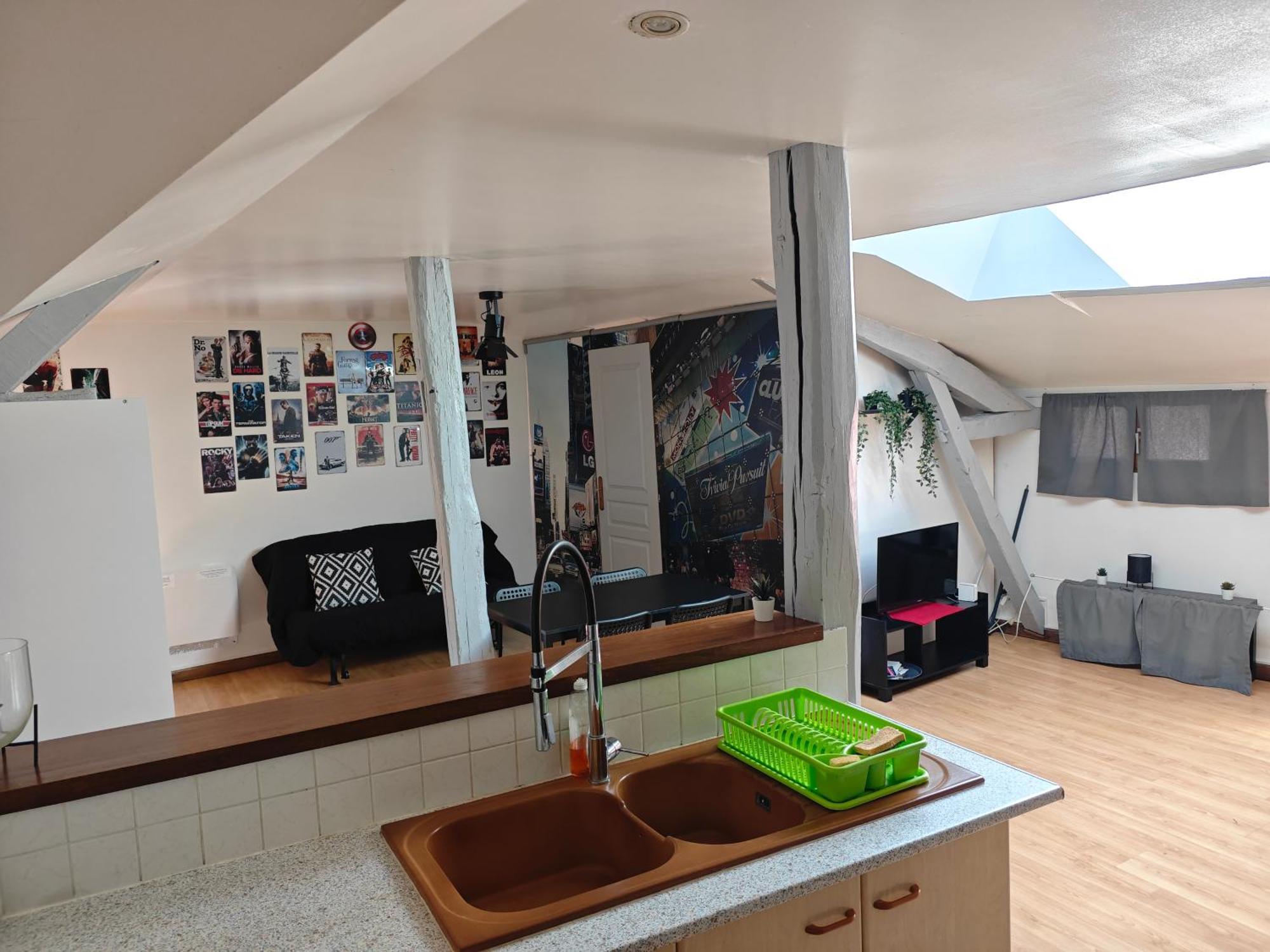 Cine Loft 55 M2 Centre Apartment *