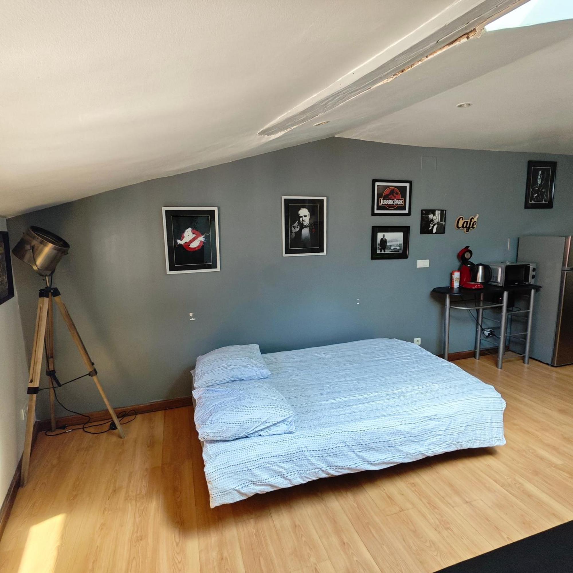 Cine Loft 55 M2 Centre Apartment Chalons-en-Champagne
