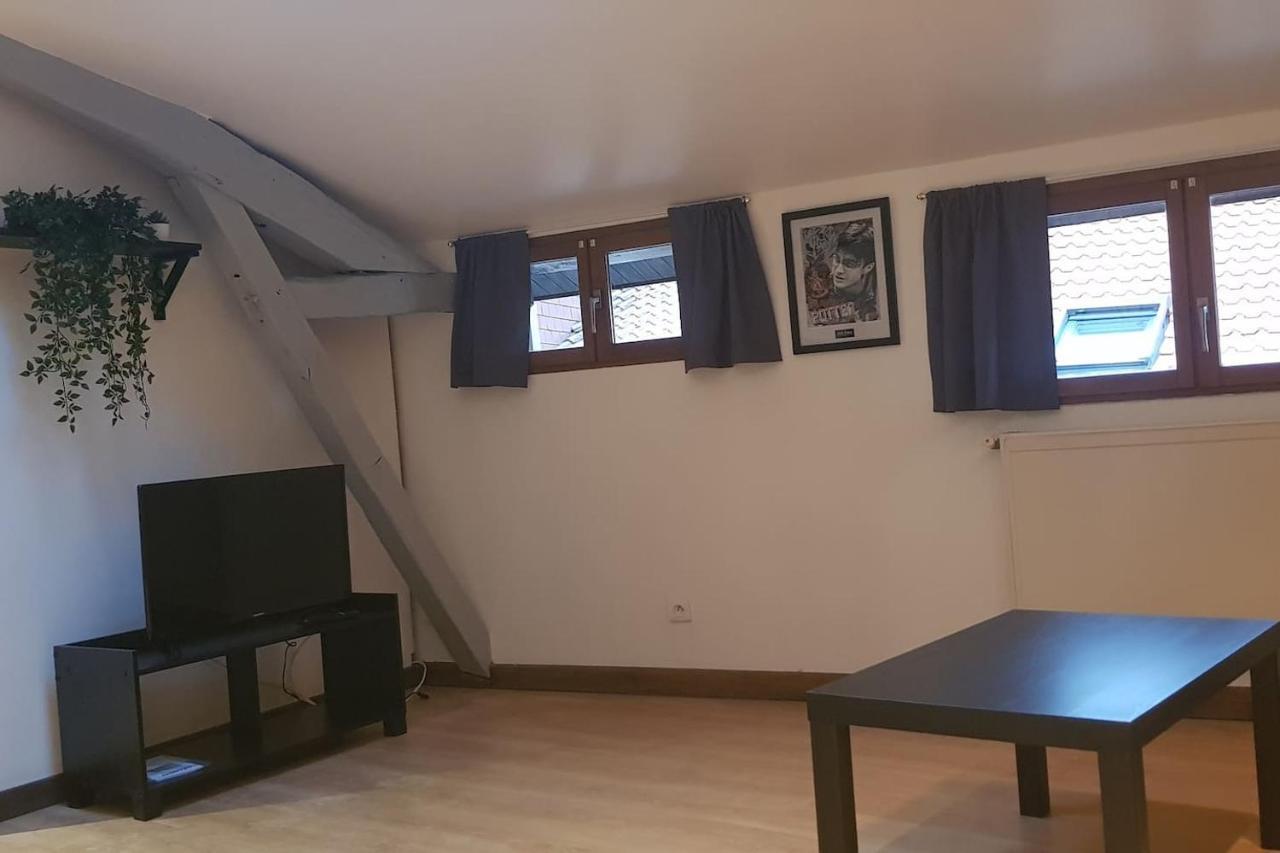 Cine Loft 55 M2 Centre Châlons-en-Champagne